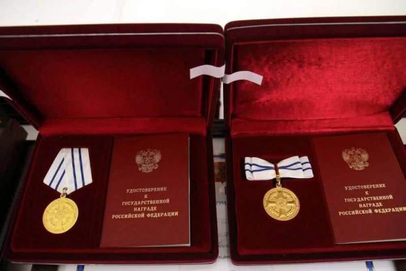 Многодетная семья из Тамбовской области удостоена медали ордена «Родительская слава»