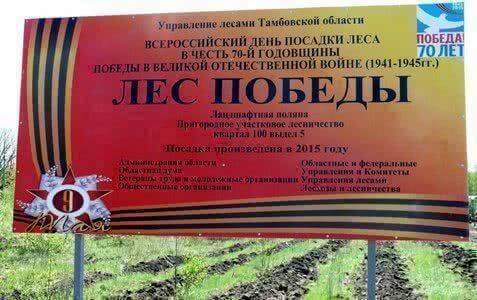 На имя губернатора Александра Никитина пришла благодарность за участие в акции «Лес Победы»