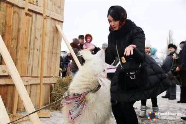 В Мичуринске пройдет Фестиваль козла – яркие проводы зимы в русском стиле