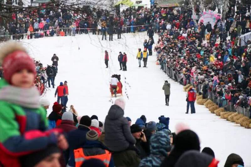 Второй фестиваль «Лысогорские санки» собрал рекордное количество гостей