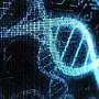 Мы, флешки: Microsoft разрабатывает технологию хранения информации в ДНК